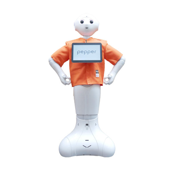 レンタル:Pepper パレットTシャツ